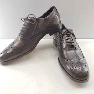 Lavish Tod's brown wingtip shoes